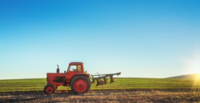 10.000 empleos para la campaña de frutos rojos en Huelva (istock)