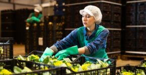 Se busca personal para preparación de pedidos ( Adobe Stock)